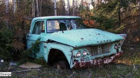 Photo from Maple Hoarder