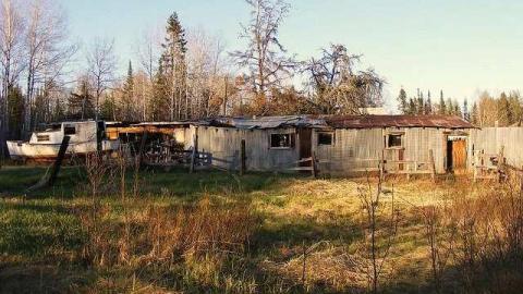 Maple Hoarder - Mapleward-Hoarder8.jpg