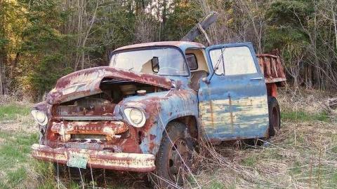 Maple Hoarder - Mapleward-Hoarder23.jpg