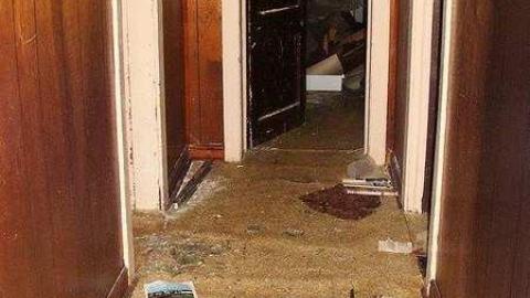 Maple Hoarder - Mapleward-Hoarder24.jpg