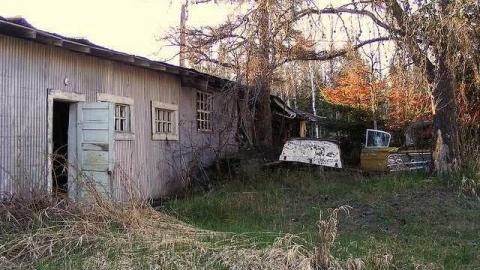 Maple Hoarder - Mapleward-Hoarder25.jpg