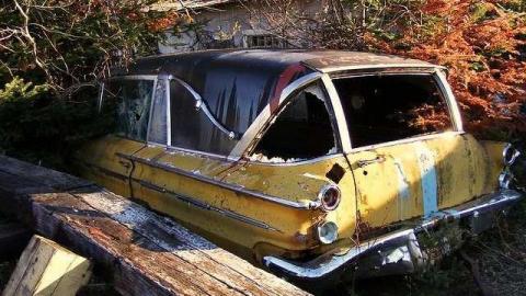 Maple Hoarder - Mapleward-Hoarder27.jpg