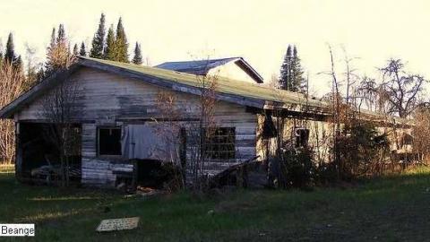 Maple Hoarder - Mapleward-Hoarder13.jpg