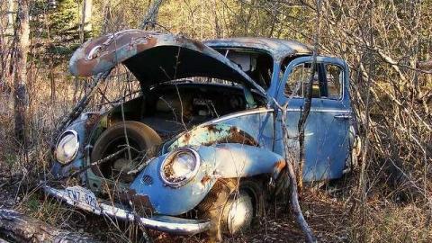 Maple Hoarder - Mapleward-Hoarder29.jpg