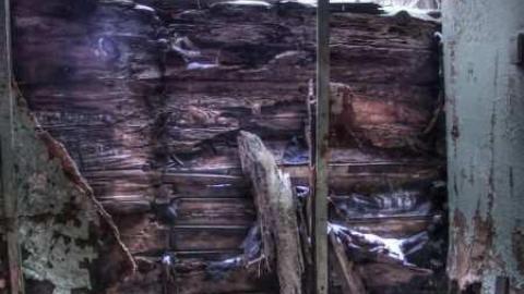 Safety First - 7.jpg