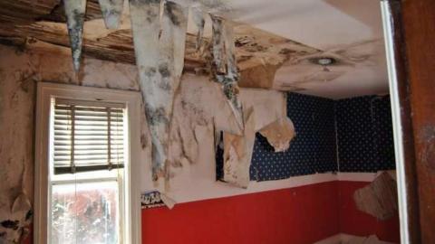 Jan. 1 2013 - DSC_0407.jpg