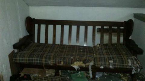 Once a king, - Highest-Point-in-York15.jpg