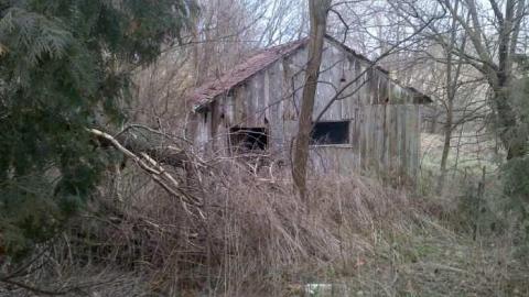 Once a king, - Highest-Point-in-York16.jpg