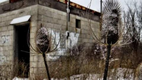 Thorold Misc - Collection-of-Low-Risks9.jpg