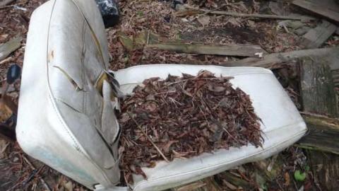 November 2012 All Boarded Up - cargraveyardHH26.jpg