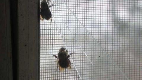 Snowy December Visit - Scenic-Farm-on-Township-Rd.-3115.jpg