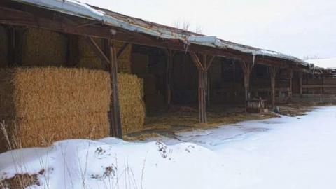 Snowy December Visit - Scenic-Farm-on-Township-Rd.-3121.jpg