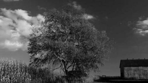 green line house - DSC03865.jpg