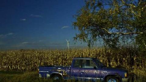 green line house - DSC03872.jpg