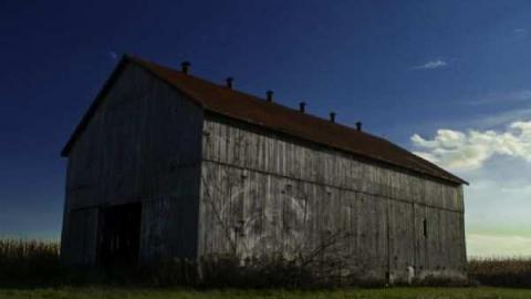 green line house - DSC03877.jpg