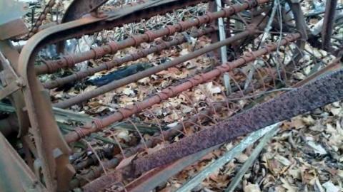 Bee Keepers SHed - Bee-Keepers-Shed16.jpg