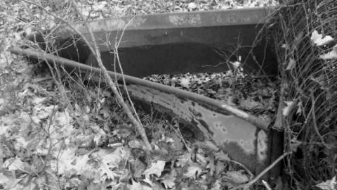 Bee Keepers SHed - Bee-Keepers-Shed8.jpg