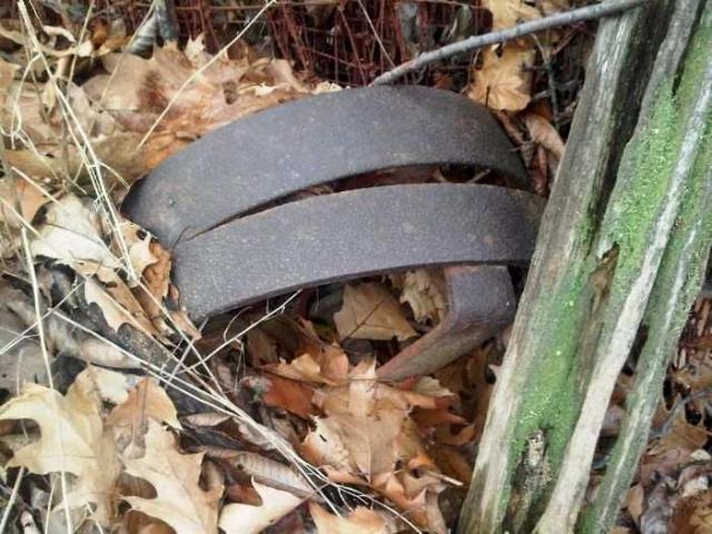 Bee Keepers Shed photo 2