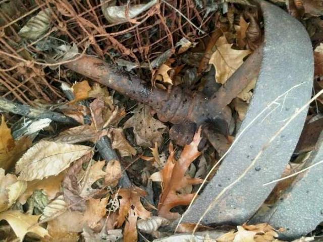 Bee Keepers Shed photo 4