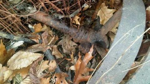 Bee Keepers Shed photo 4