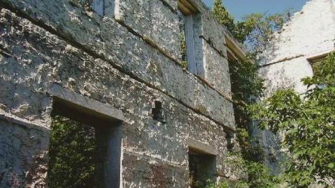 Ruins In Elora 2006 - Foundry-Building-Elora50.jpg