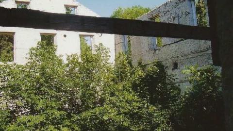 Ruins In Elora 2006 - Foundry-Building-Elora51.jpg