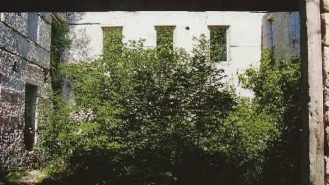 Ruins In Elora 2006 - Foundry-Building-Elora48.jpg