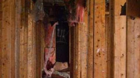 Natural Born Dirtbags - DSC01745.jpg