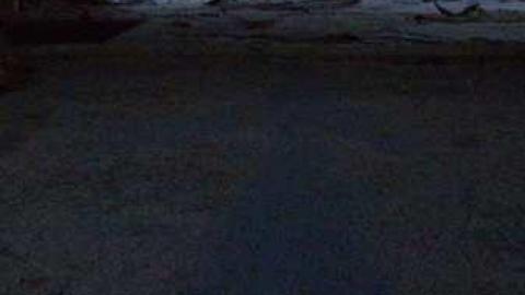 Natural Born Dirtbags - DSC01746.jpg