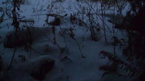 Natural Born Dirtbags - DSC01748.jpg