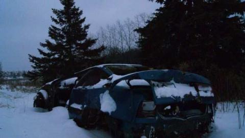 Natural Born Dirtbags - DSC01753.jpg