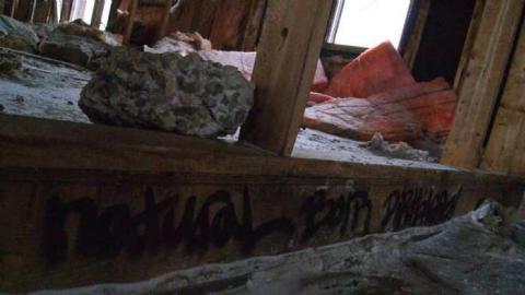 Natural Born Dirtbags - DSC01755.jpg