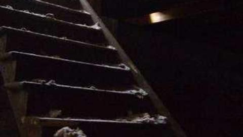 Natural Born Dirtbags - DSC01758.jpg