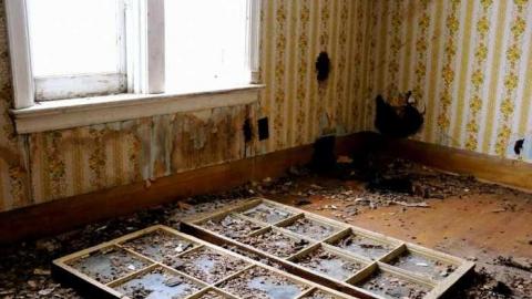 Photo from Late Dec 2012