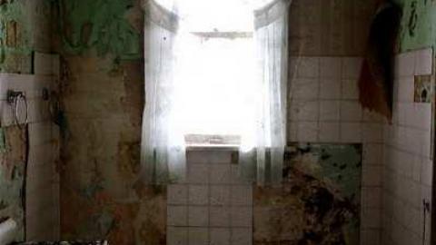 Photo from Late Dec 2012