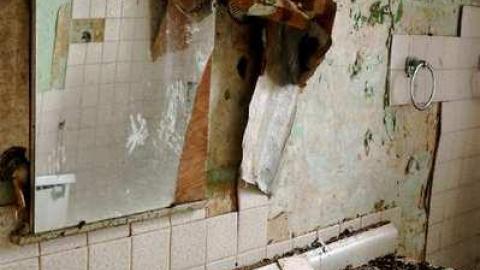 Photo from Late Dec 2012