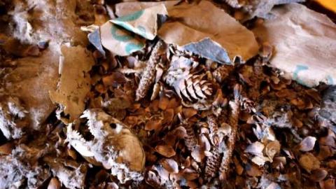 Late Dec 2012 - 8348058858_7d5ed0003c_b.jpg