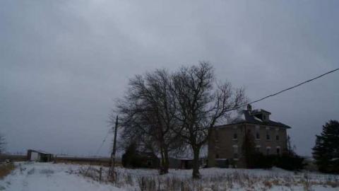 Delightful And Revolting - Delightful-And-Revolting16.jpg