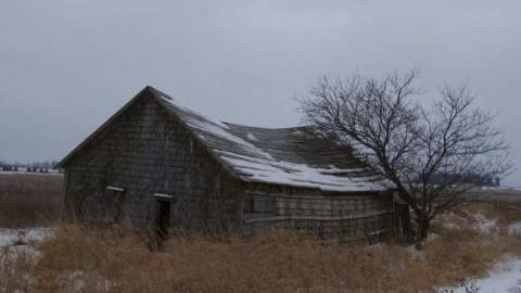 Delightful And Revolting - Delightful-And-Revolting7.jpg