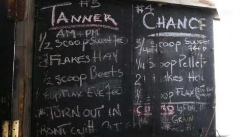 Delightful And Revolting - Delightful-And-Revolting8.jpg