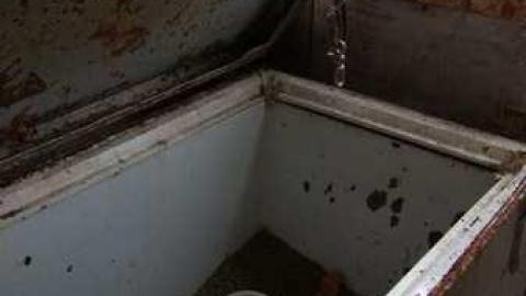 Delightful And Revolting - Delightful-And-Revolting9.jpg