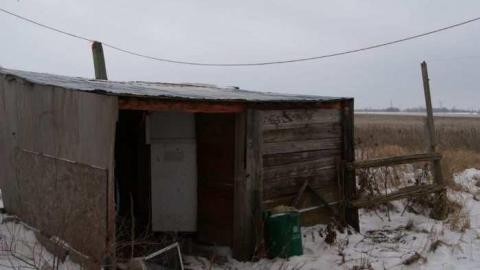 Delightful And Revolting - Delightful-And-Revolting10.jpg