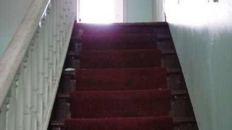 Delightful And Revolting - Delightful-And-Revolting23.jpg