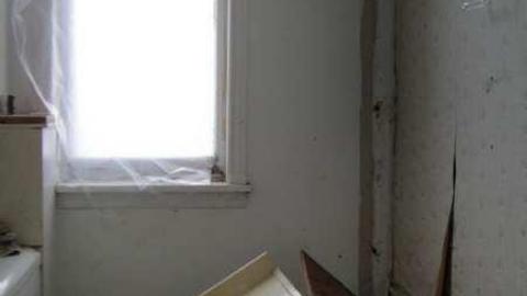 Delightful And Revolting - Delightful-And-Revolting6.jpg