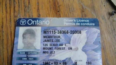 Delightful And Revolting - Delightful-And-Revolting26.jpg