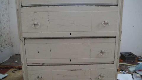 Photo from Delightful And Revolting