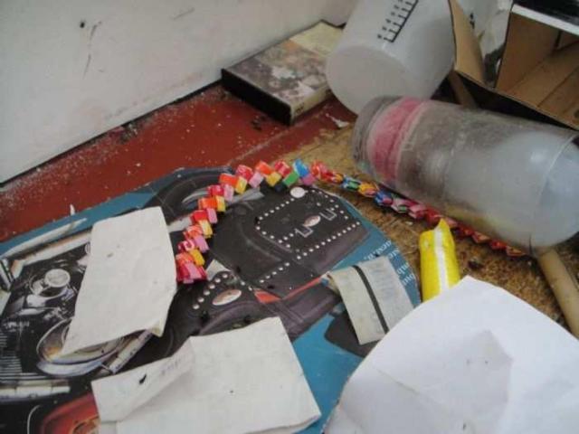 Delightful And Revolting photo 3