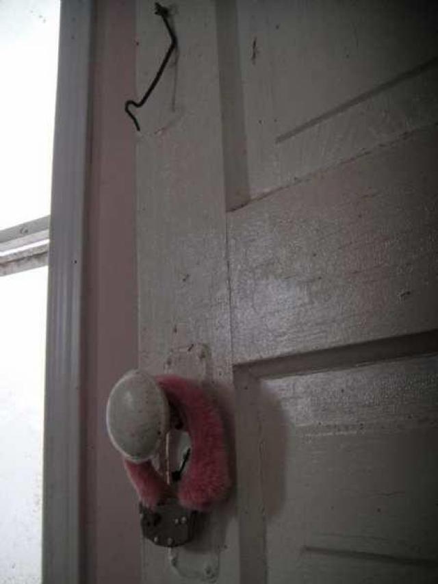 Delightful And Revolting photo 4