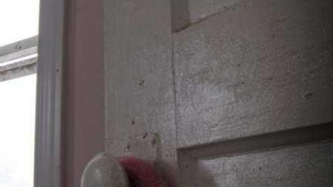 Photo from Delightful And Revolting