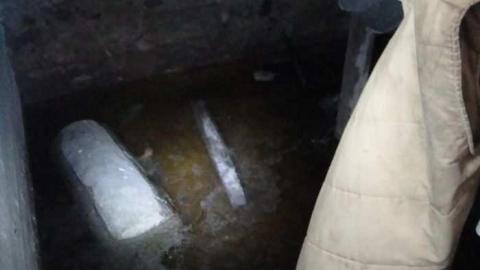 Delightful And Revolting - Delightful-And-Revolting45.jpg